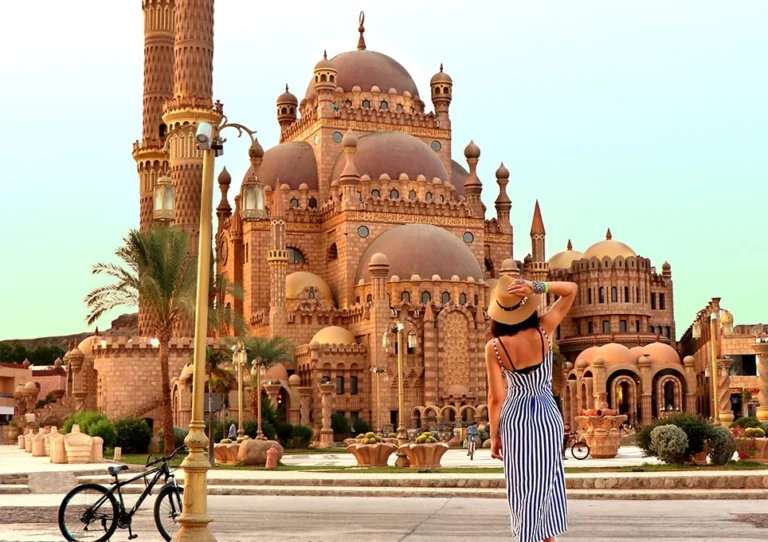 City Tours
